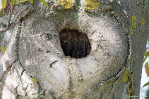 P1040153