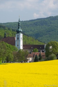 P1040258