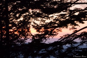 P1050004