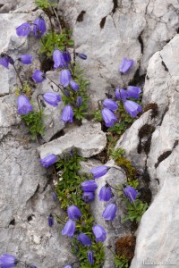 P1050612