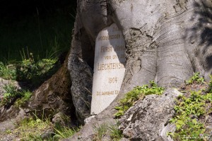 P1050777