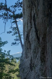 P1050972