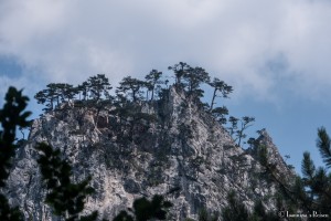 P1050974