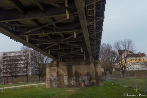 P1060306