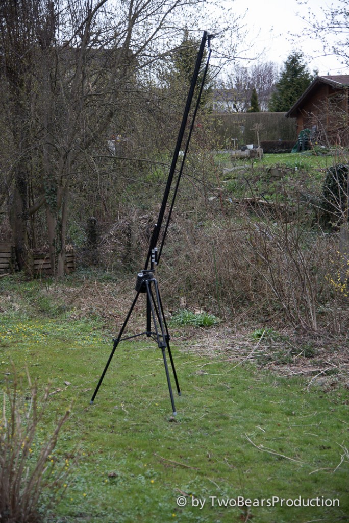 D75_3548