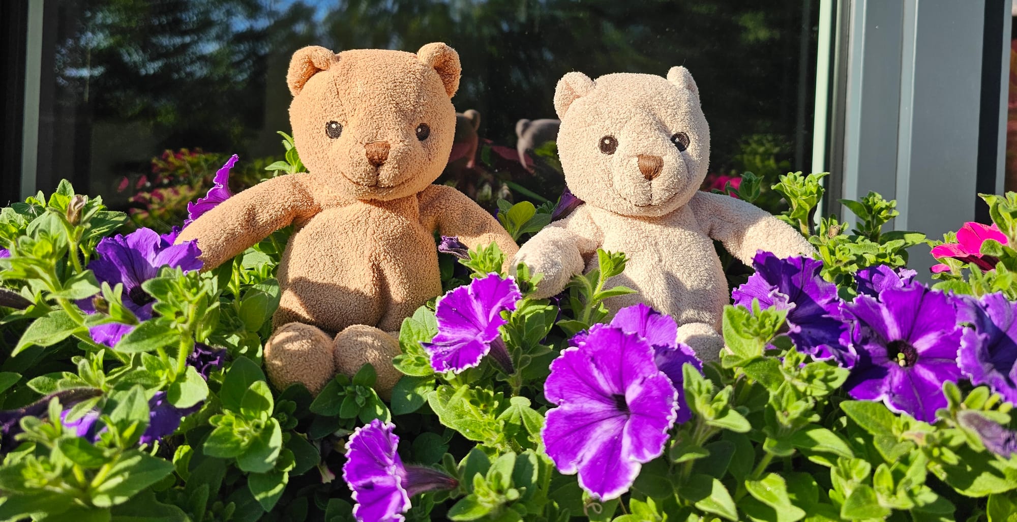 TwoBearsWorld