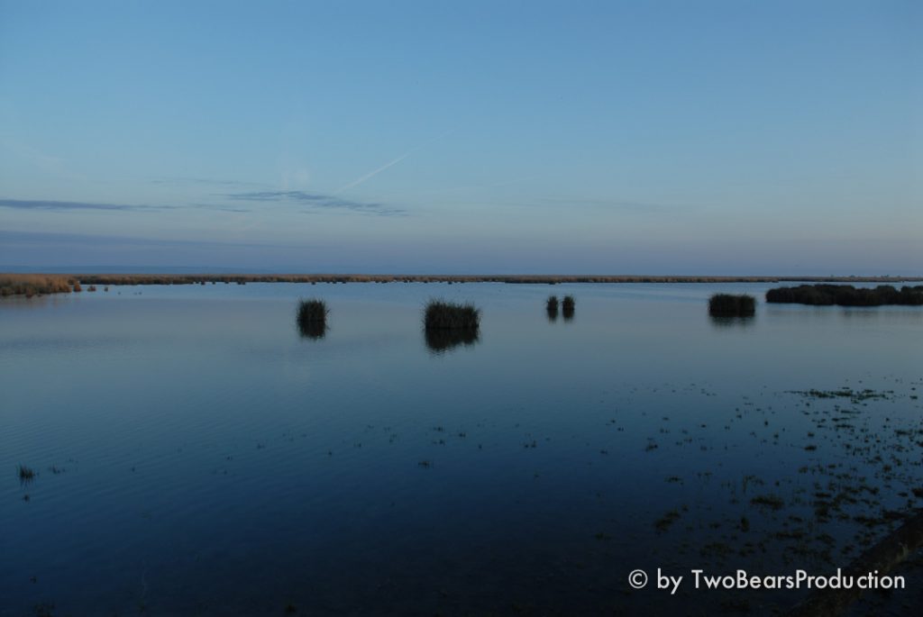 DSC_9072