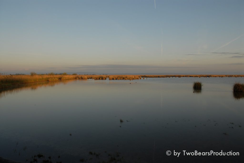 DSC_9083