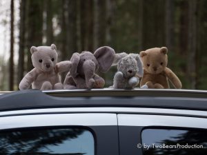 Read more about the article Bayerischer Wald