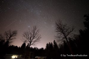 Read more about the article Sterndalschaun