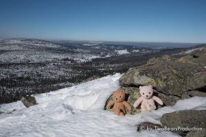 Read more about the article Lusen bei Schnee