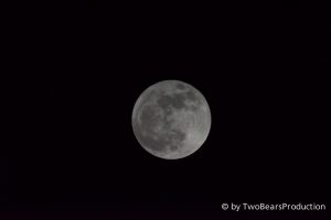 Read more about the article Vollmond