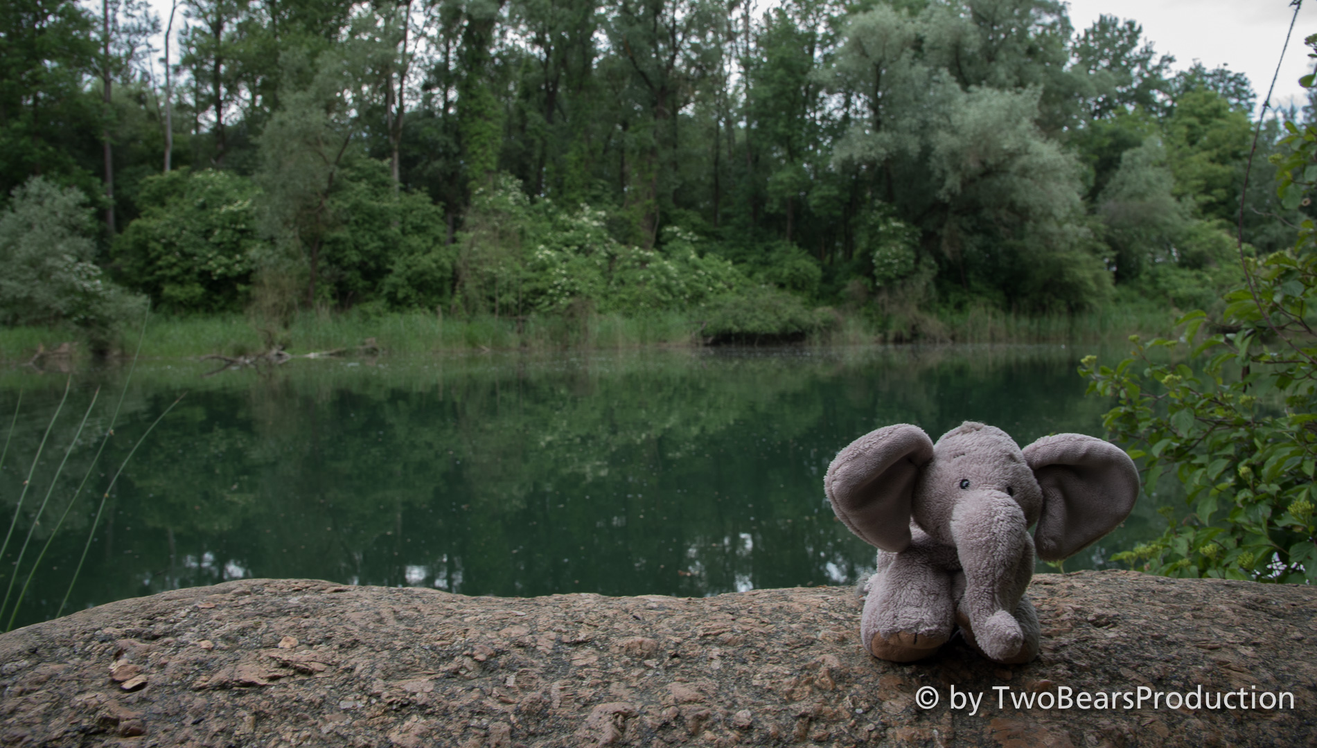 You are currently viewing Spaziergang durch die Au