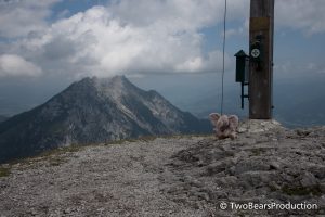 Read more about the article Auf den Stoderzinken