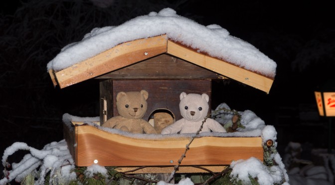 Hallo Welt!