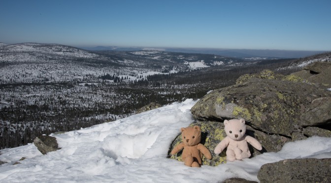 Lusen bei Schnee